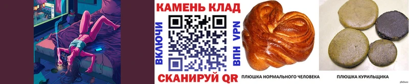 shop официальный сайт  сколько стоит  Краснозаводск  ГАШ Ice-O-Lator 