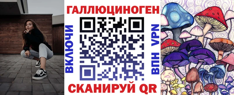 Псилоцибиновые грибы Psilocybe  omg маркетплейс  Краснозаводск 