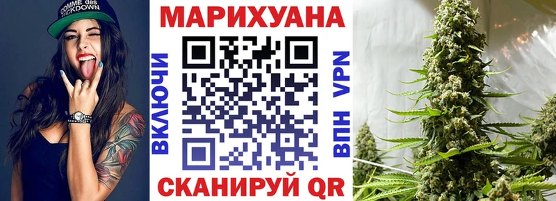 Конопля гибрид  Краснозаводск 